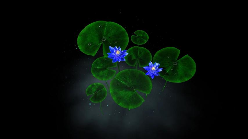 上海杰恩文化科技有限公司