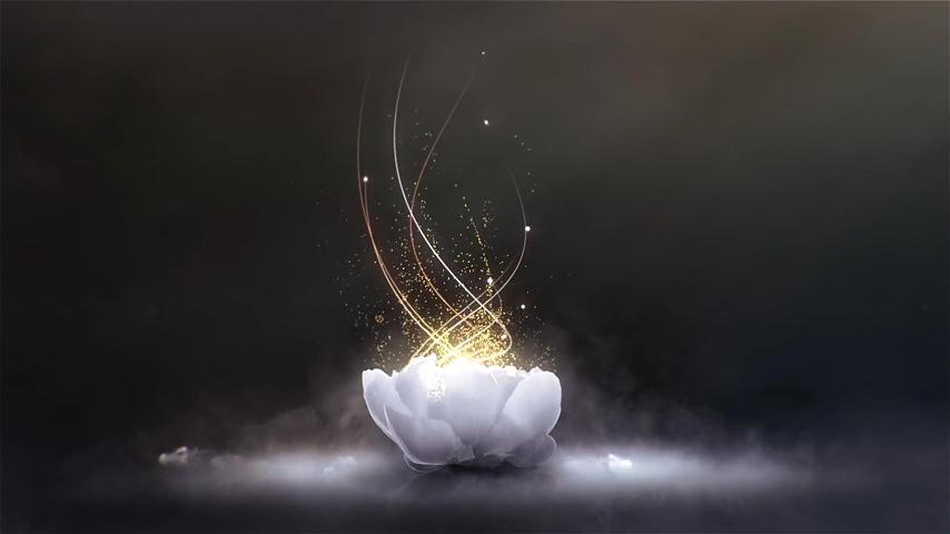 上海杰恩文化科技有限公司